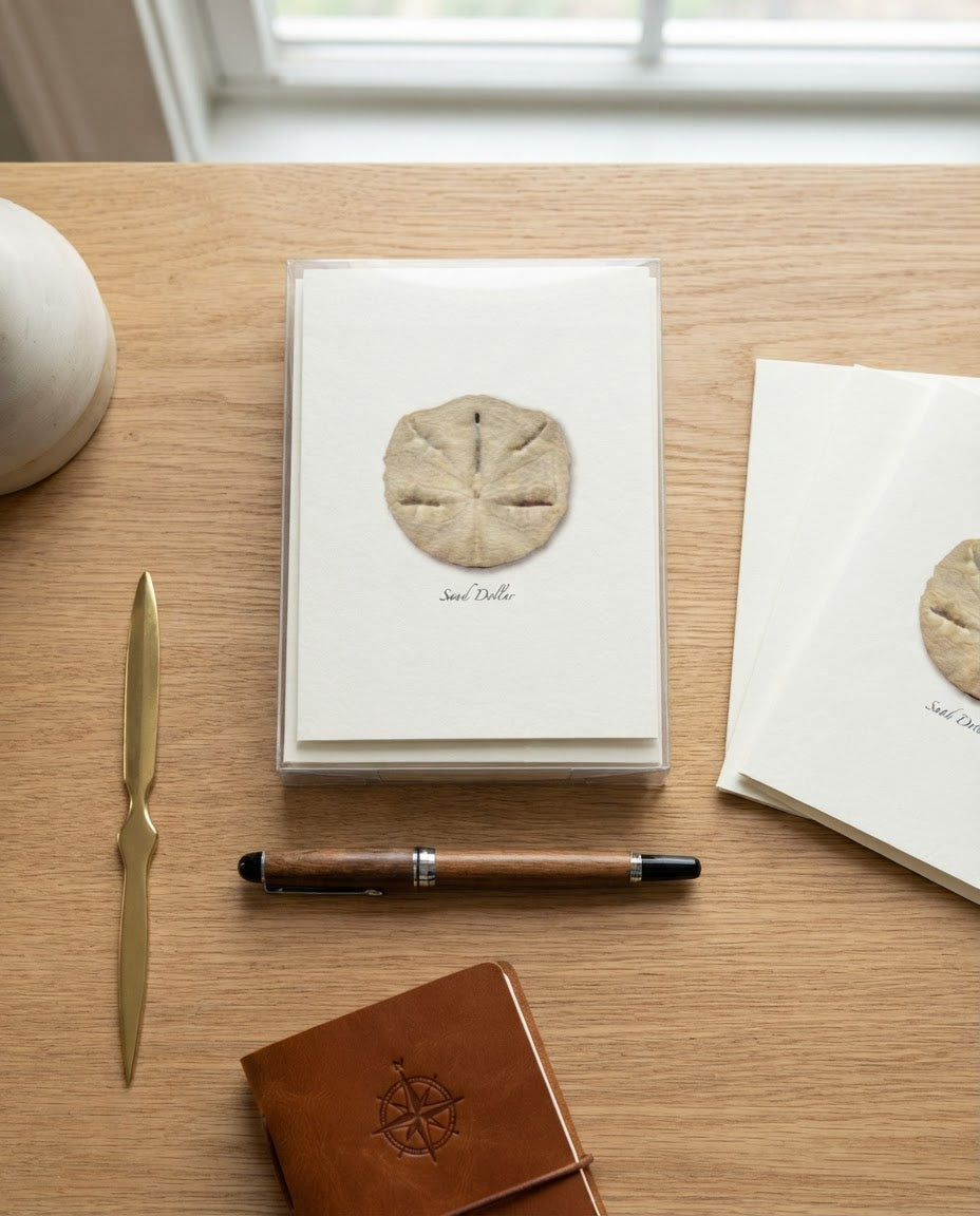 Sand Dollar Note Card Set