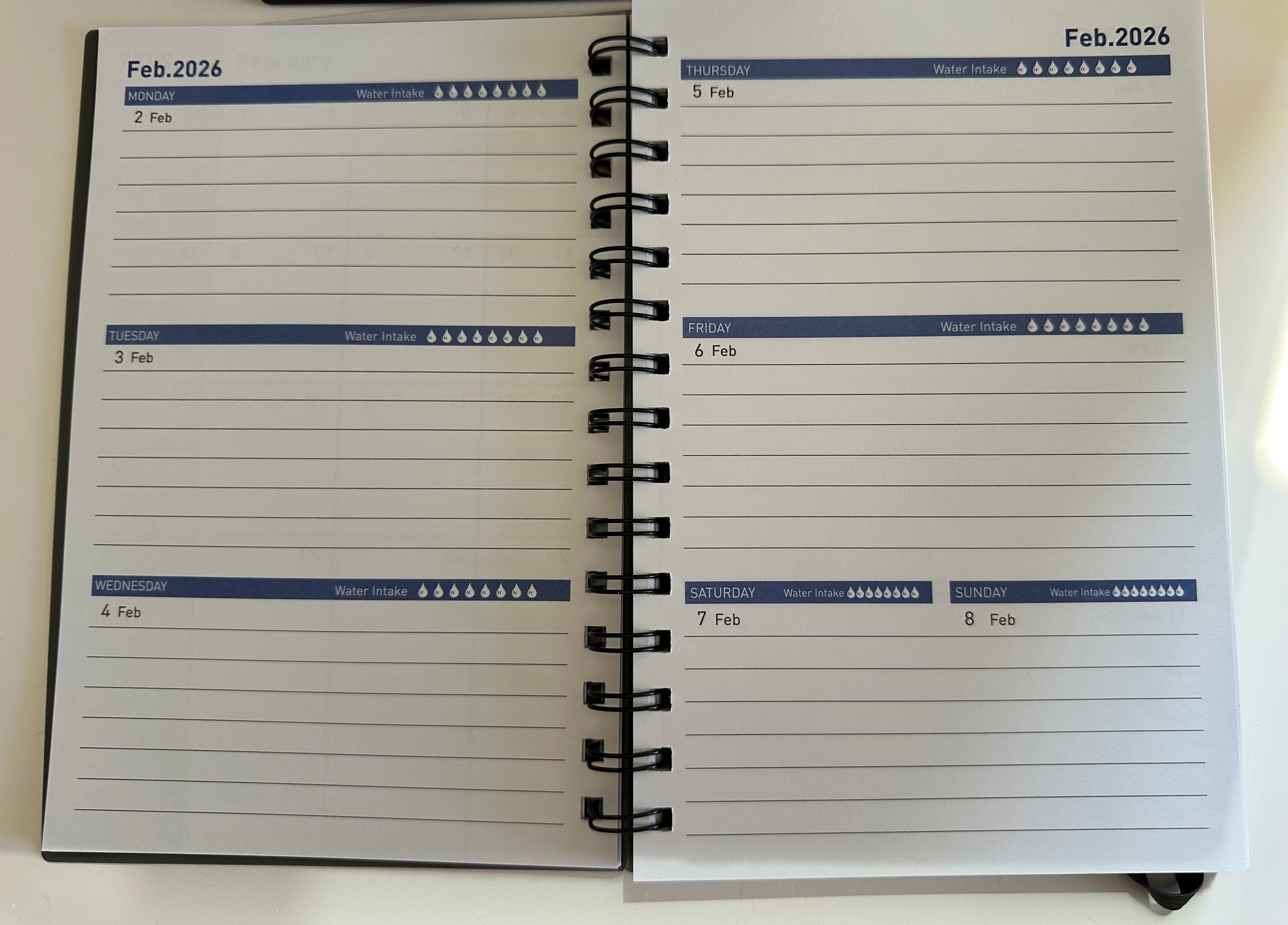 18-Month Planner Set