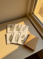 Botanical Eucalyptus Note Card Set