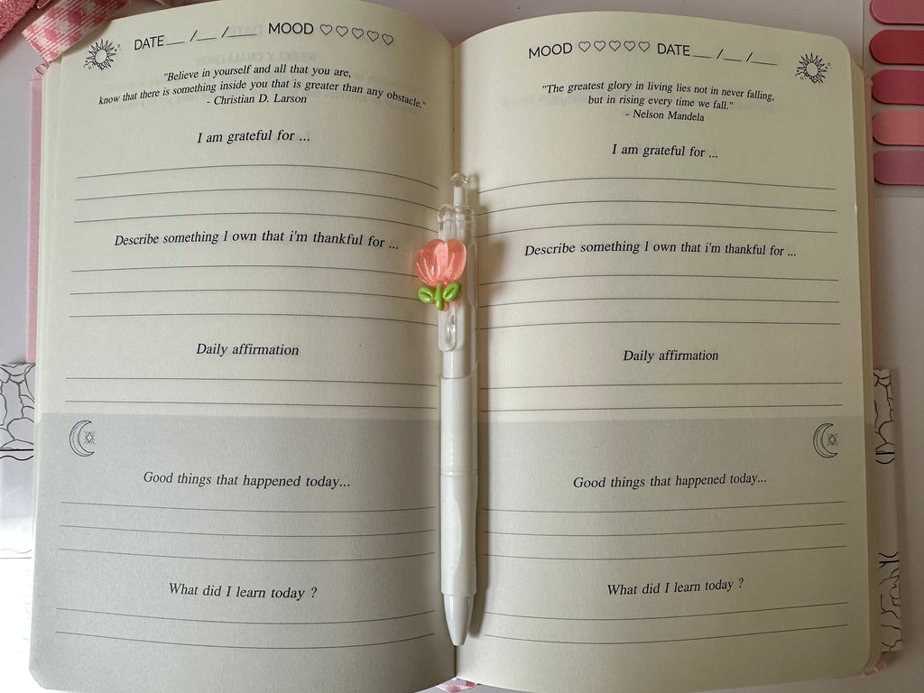 Pink Gratitude Journal Set