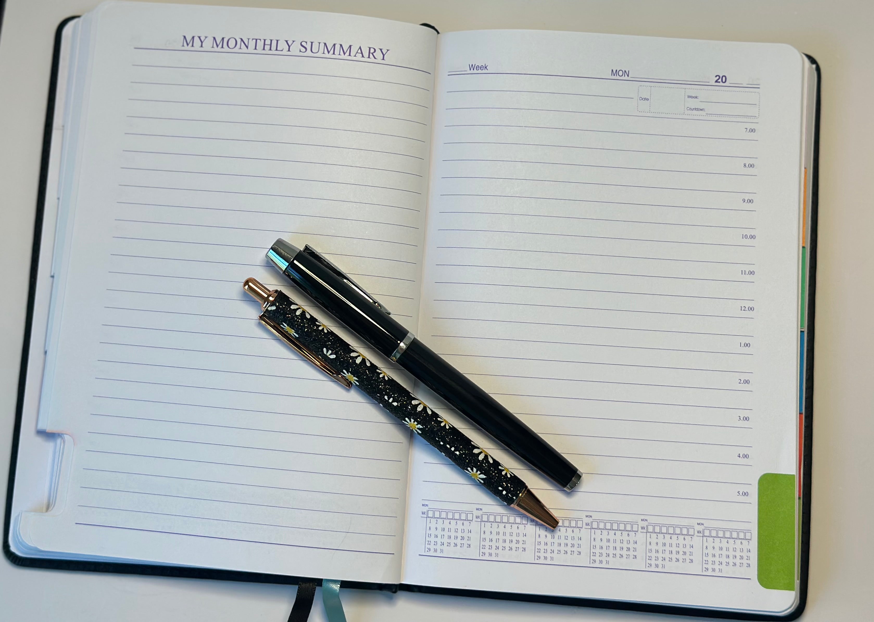 The Pro Planner Set — Daily & Hourly, Undated