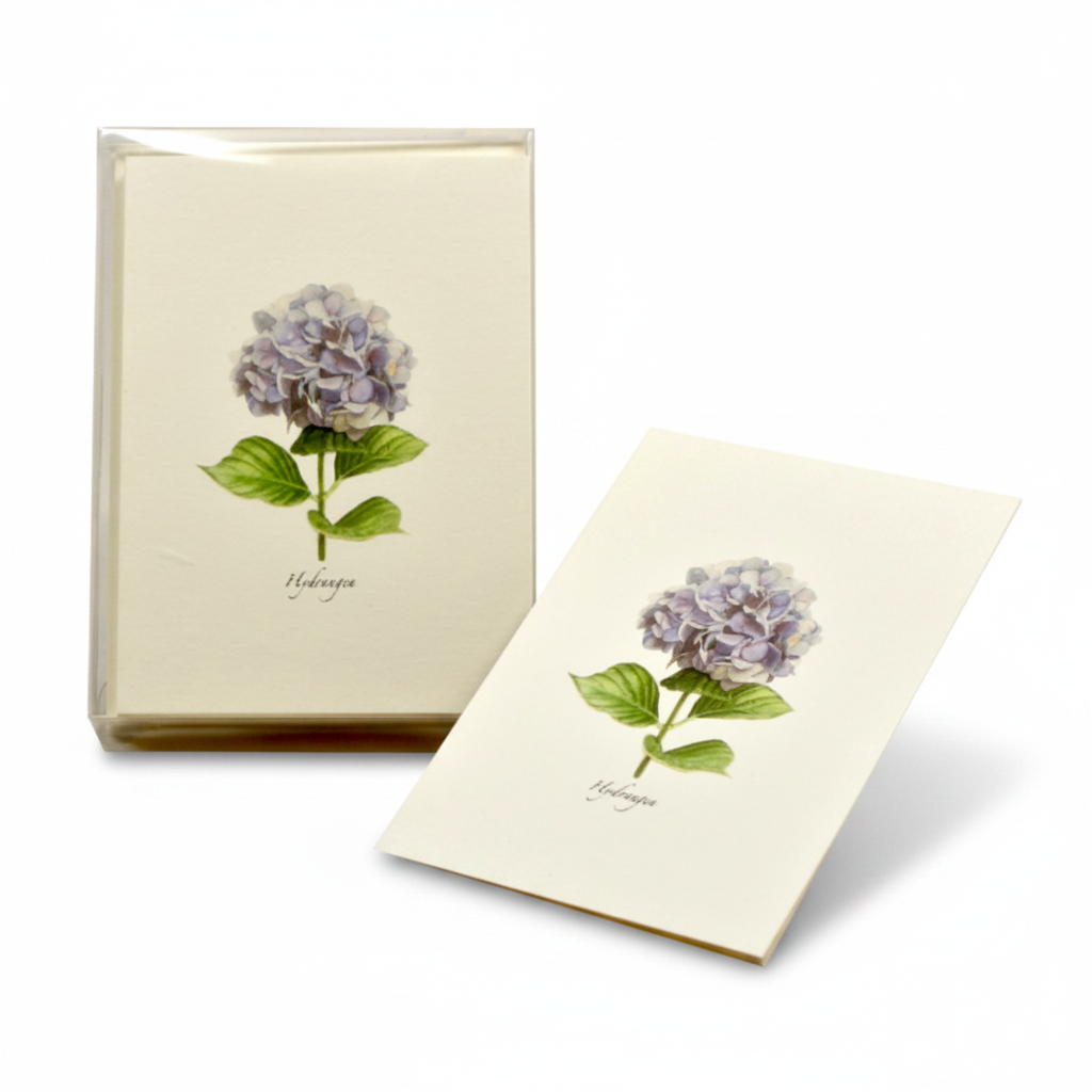 Hydrangea Recycled Paper Notecard Set