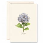 Hydrangea Recycled Paper Notecard Set