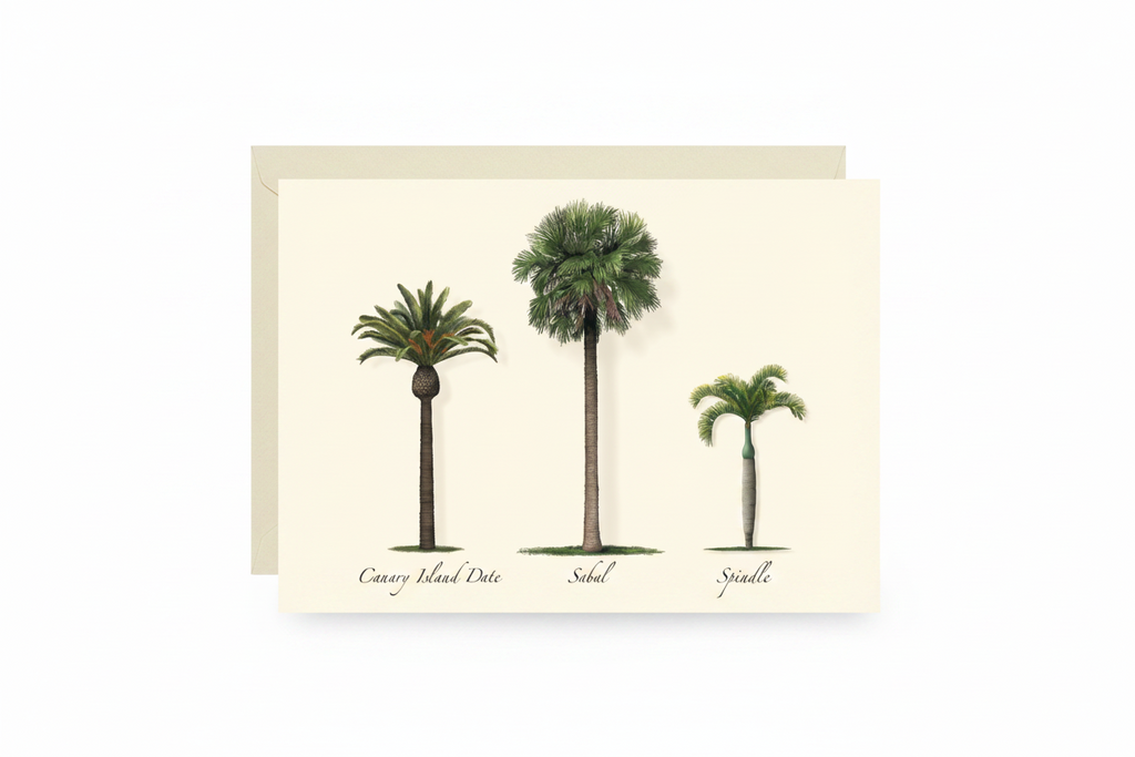 Palm Tree Note Card Set