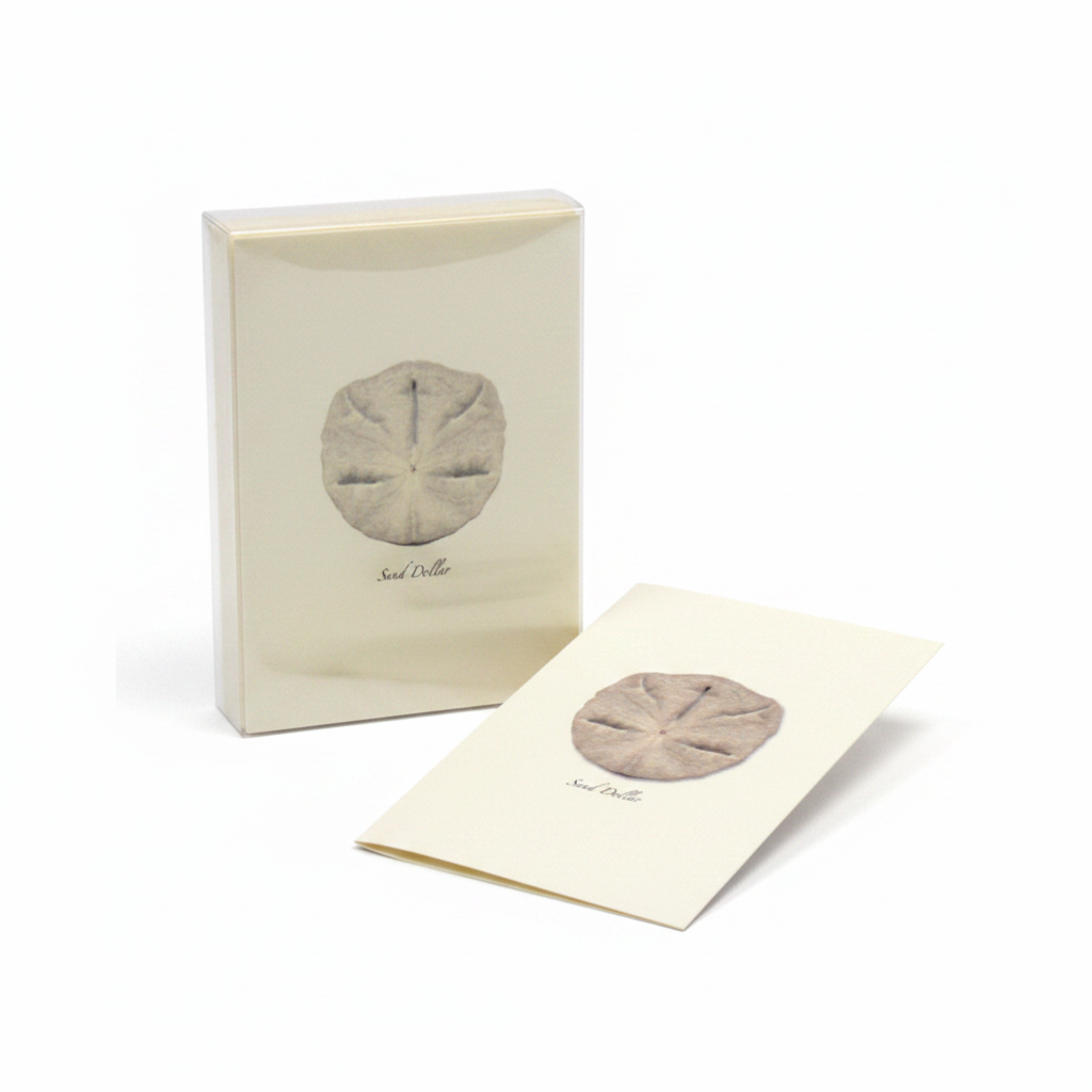 Sand Dollar Note Card Set