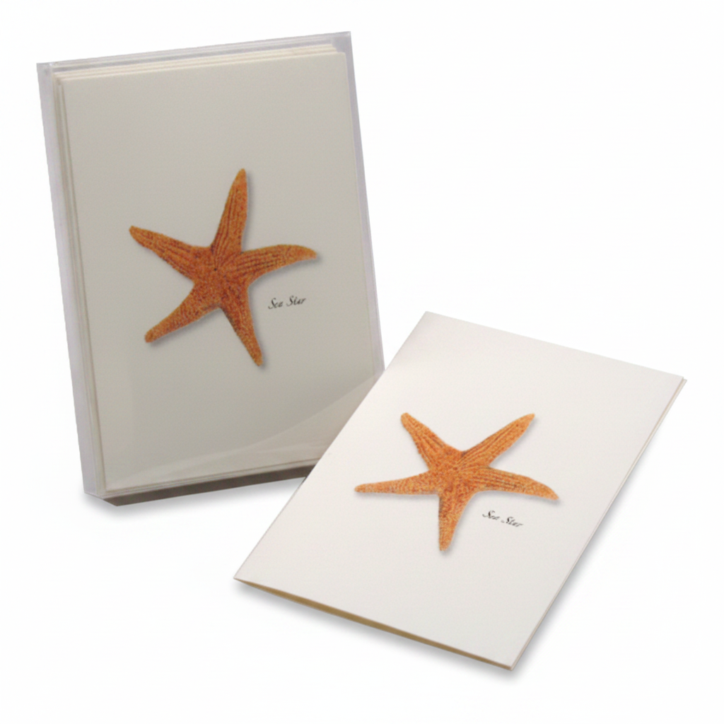 Sea Star Notecard Set