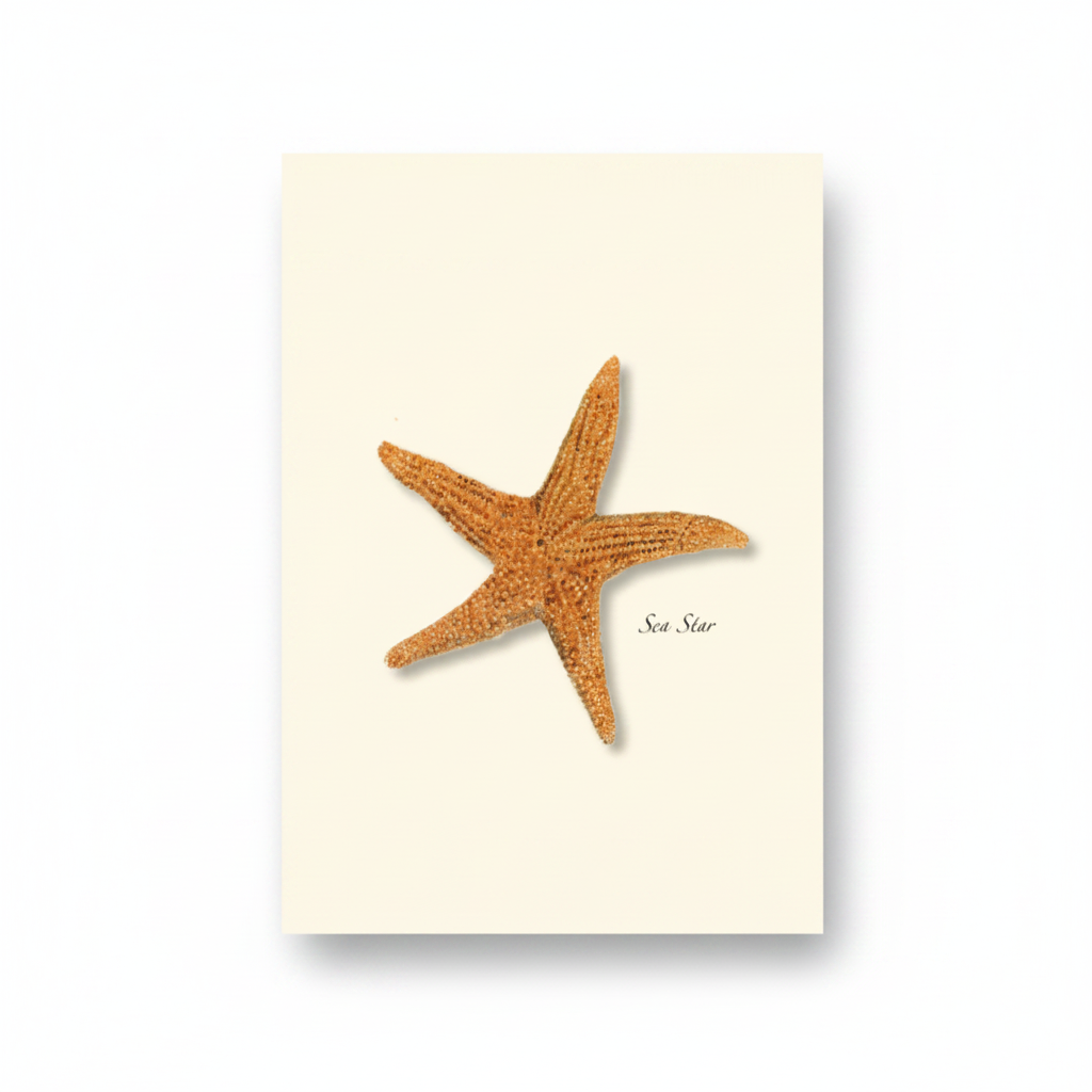 Sea Star Notecard Set