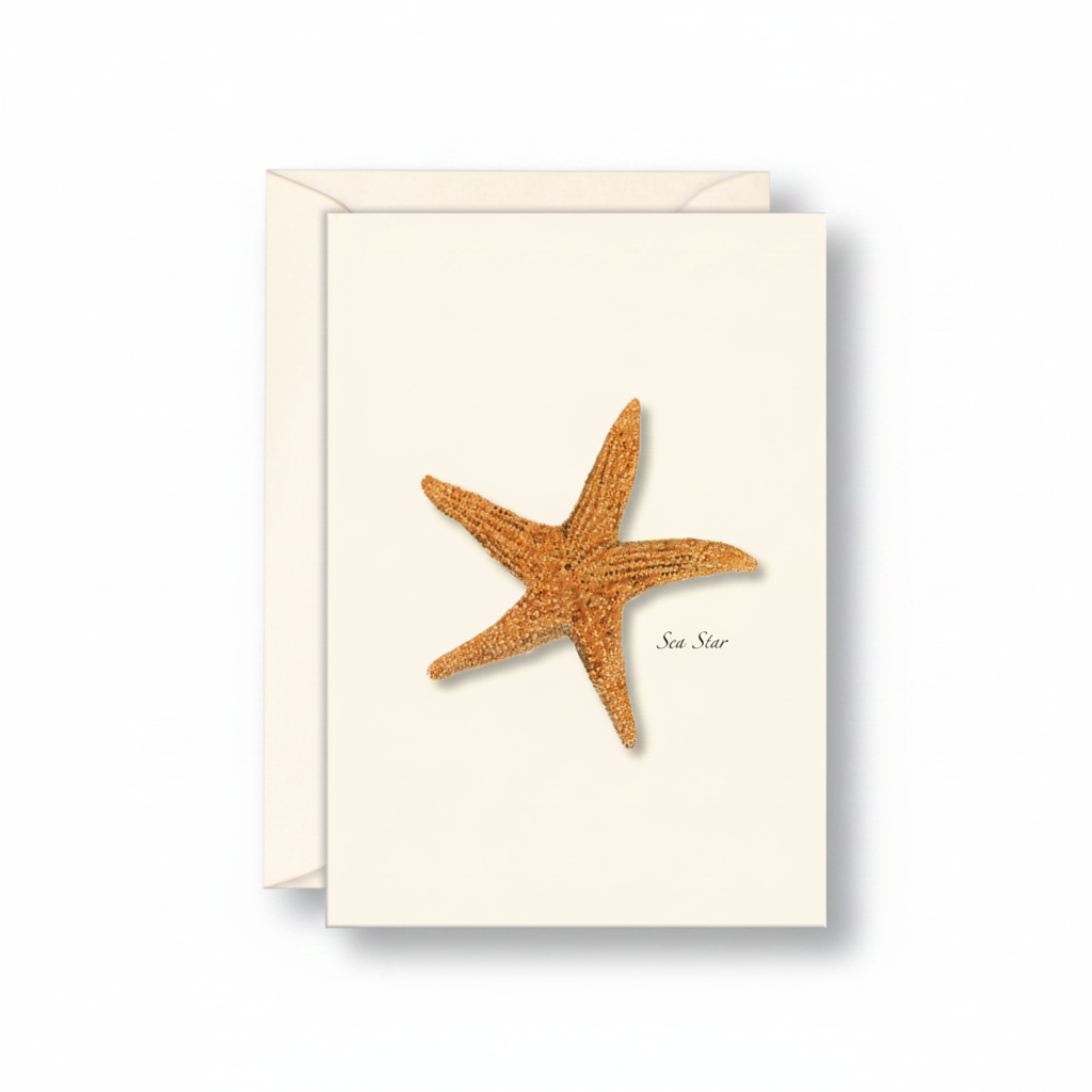 Sea Star Notecard Set
