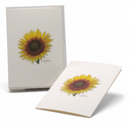 Sunflower Note Card Set