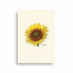 Sunflower Note Card Set